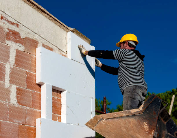 Best Insulation Inspection Services  in Plattsburgh West, NY