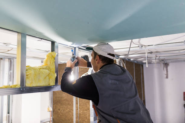 Best Crawl Space Insulation  in Plattsburgh West, NY