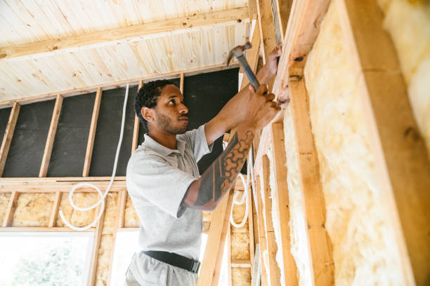 Best Insulation Repair Services  in Plattsburgh West, NY